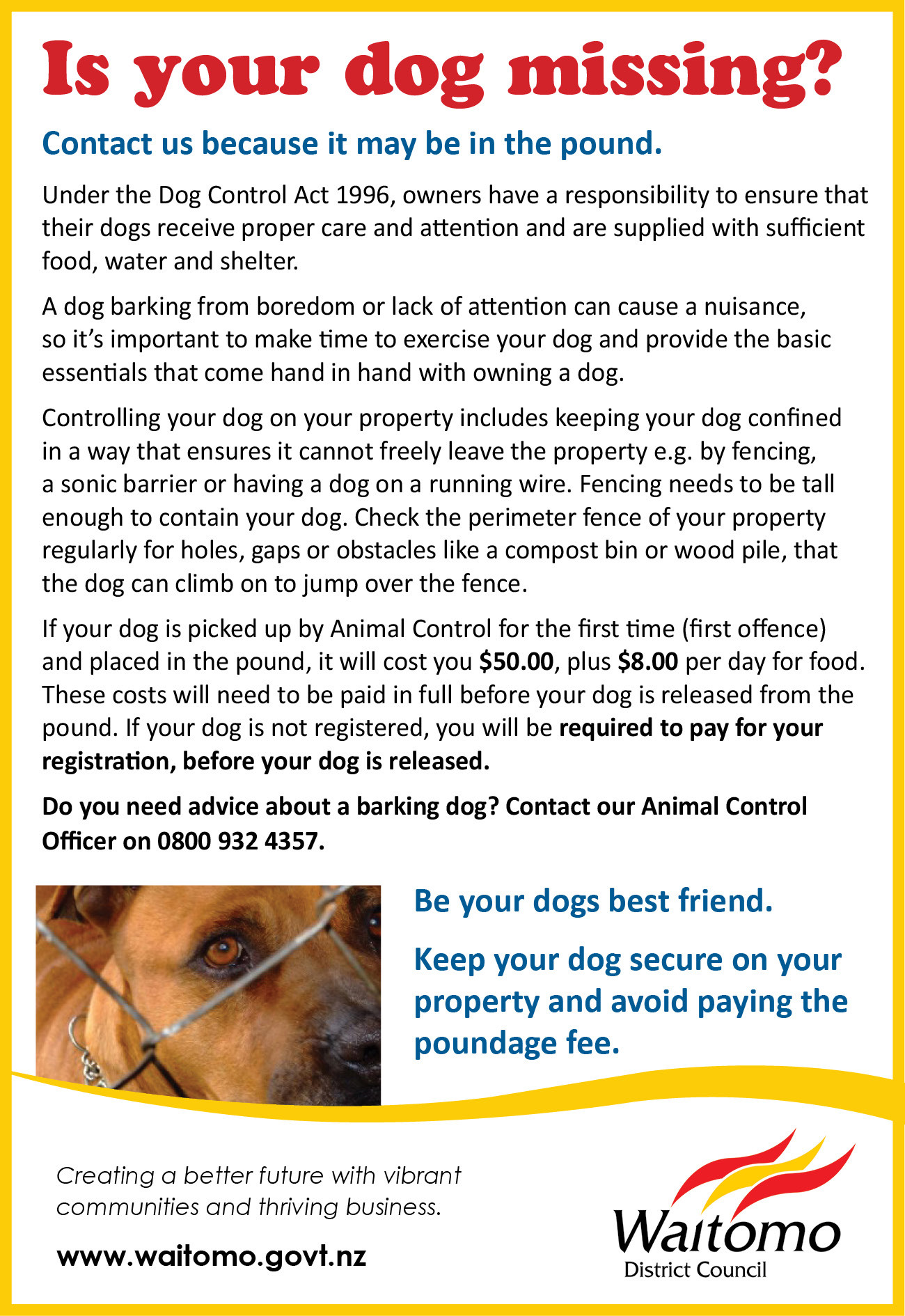 Is your dog missing? Contact Waitomo District Animal Control.