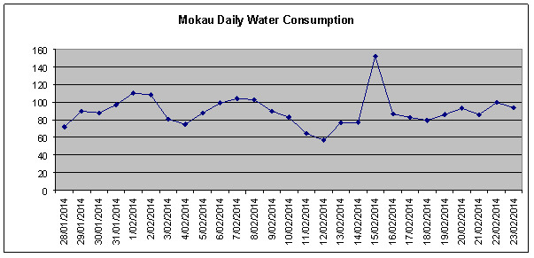 Mokau daily water consumption