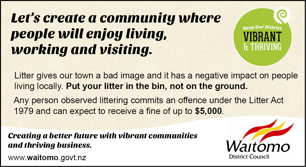 Keep our District Vibrant and Thriving advert 17 December 2015