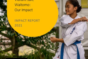Progress made on Vibrant Safe Waitomo Action Plan