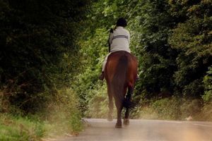 Horses and Public Safety