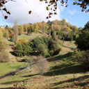 BrookPark_view - Thumbnail