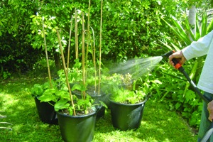 Water Conservation (2)