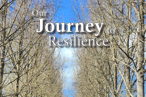 Building resilience a key focus of Draft Annual Plan 2023/24