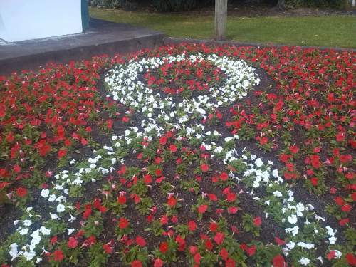 White Ribbon Te Kuiti