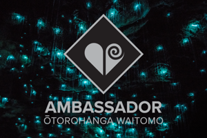 Ambassador Programme Workshop