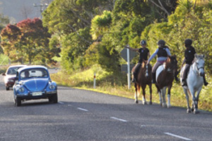Road rules for horse riders