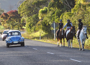 Road rules for horse riders