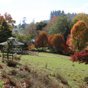 Brook_Rotunda (1) - Thumbnail