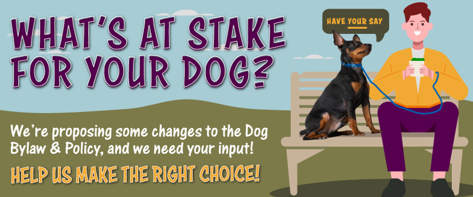 Dog Review Website Slider