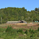TimberTrailLodge - Thumbnail