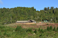 The Timber Trail Lodge