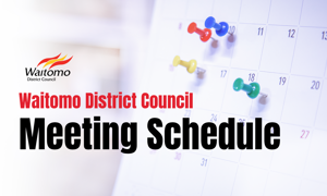 Council Meeting Schedule Panel