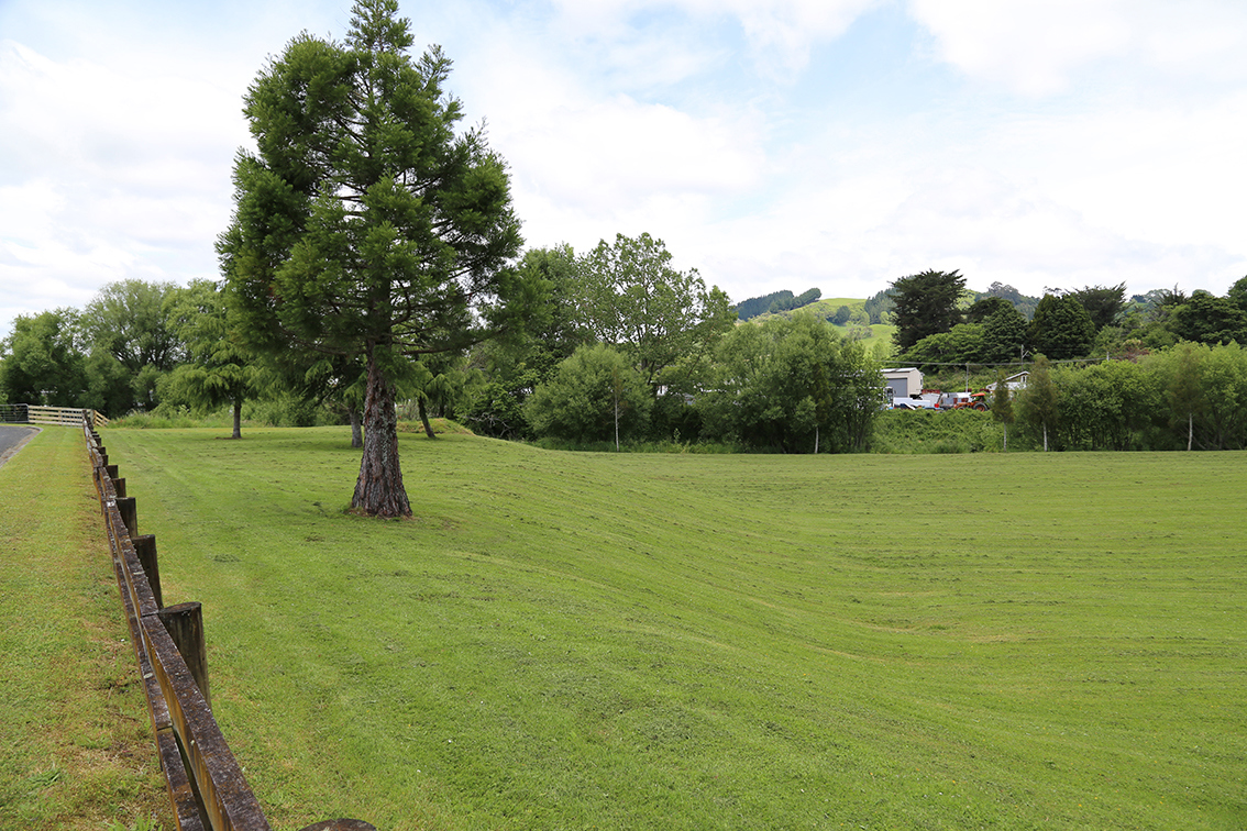 Reserve land at Redwood Forest Te Kuiti