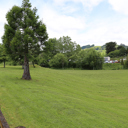 RedwoodField - Thumbnail