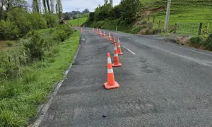 Rangitoto Road Photo.jpg