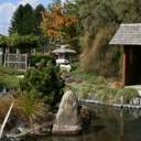 Tatsuno_pond - Thumbnail