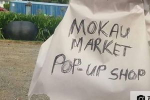 Mokau Market Pop Up Shop
