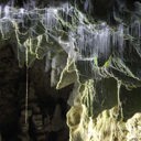 GlowwormsinCave - Thumbnail