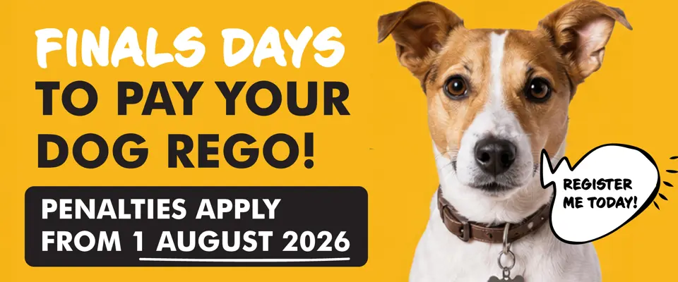 Dog registration  2026 - web slider.jpg