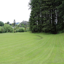 RedwoodPark - Thumbnail
