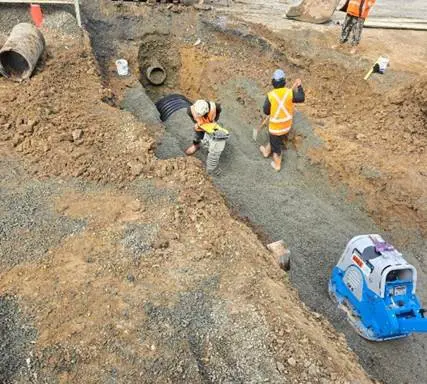 Nzta 26.8.2