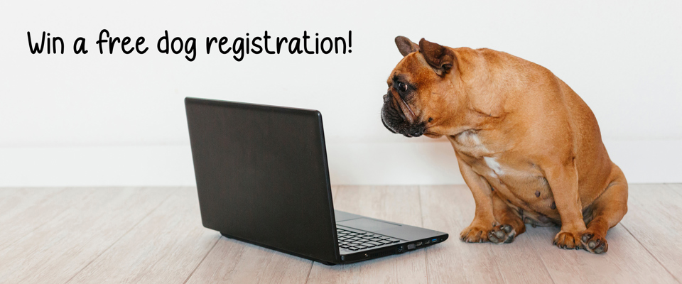 Dog Registration Competition Banner Sm