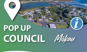 Panel - Pop up Council.png