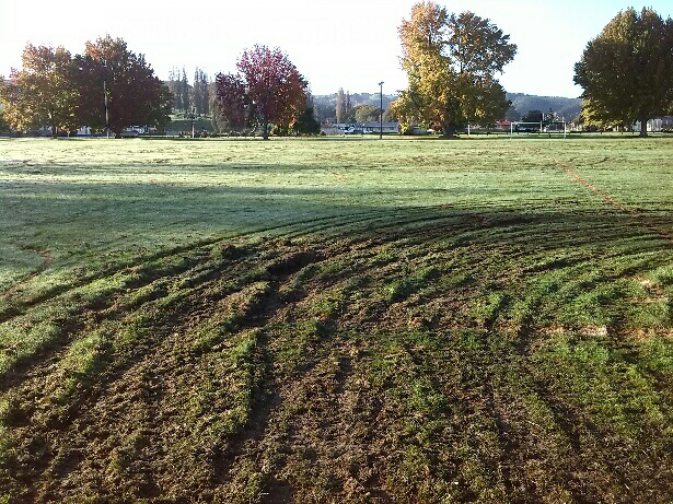 Centennial Park sports field vandalised