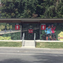 Toilet_mural - Thumbnail