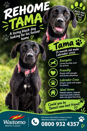 Tama Advert