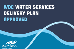 Water Services Delivery Plan gets tick of approval