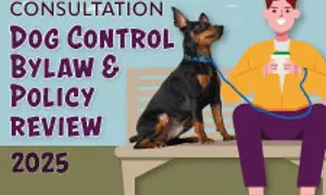 DOG CONSULTATION Website Teaser Image