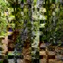 cycletrail - Thumbnail