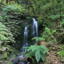 unnamedwaterfall_MangaokewaGorge - Thumbnail
