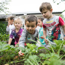 Enviroschools 2 - Thumbnail