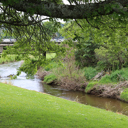 Redwood_river - Thumbnail