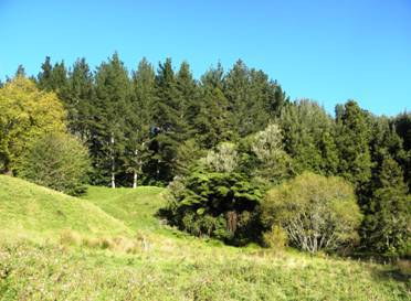 Brook Park reserve