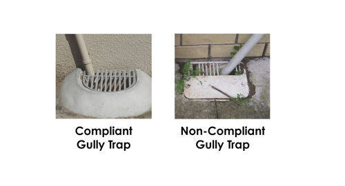 Gully Trap WEB Image