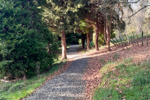 Upgraded walking track to link to Te Araroa Trail
