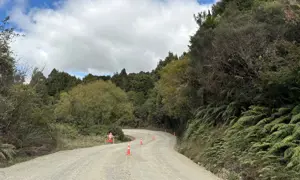 Mangaotaki Road April 2025
