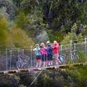 timber_trail - Thumbnail