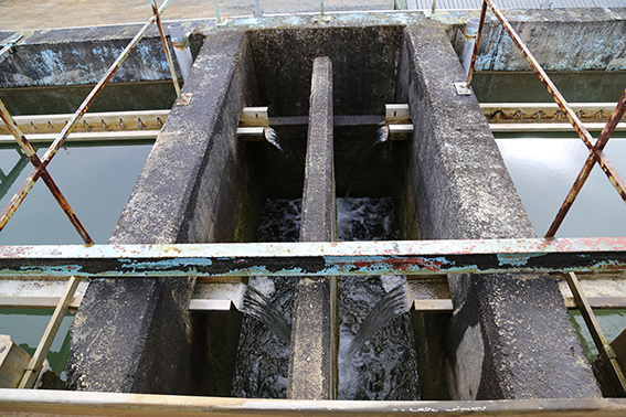 12 October 2017 Te Kuiti Water Treatment Plant clarifiers to be refurbished