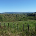 FieldViews - Thumbnail