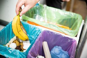 Waste Minimisation