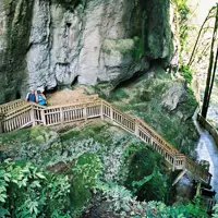 MangapohueNaturalBridge