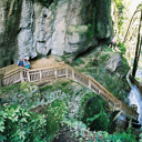 MangapohueNaturalBridge - Thumbnail