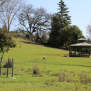 Brook_Rotunda - Thumbnail