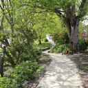 Mangaokewa_path - Thumbnail