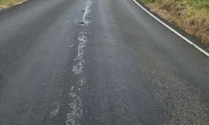 Walker Road April (2)